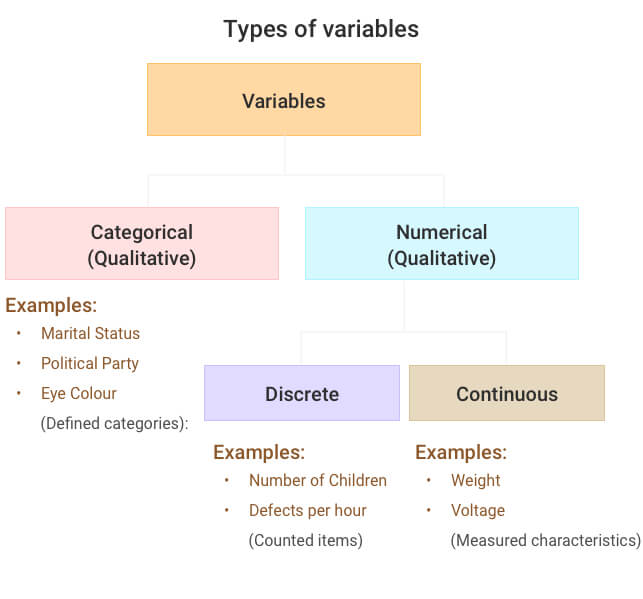 Qualitative variables under study