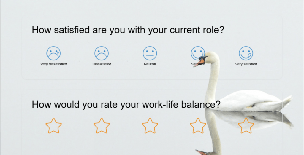 employee role satisfaction surveyt template