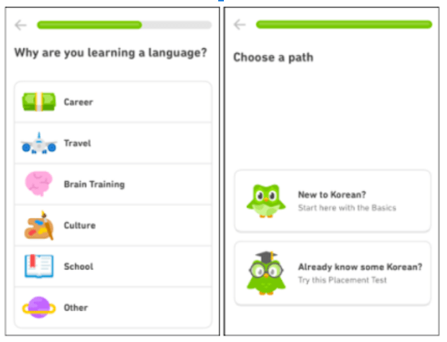 Duolingo feature