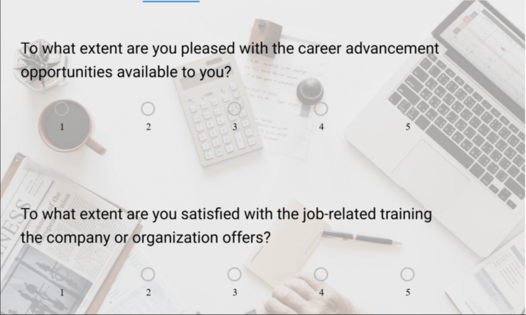 employee opportunity & motivation survey