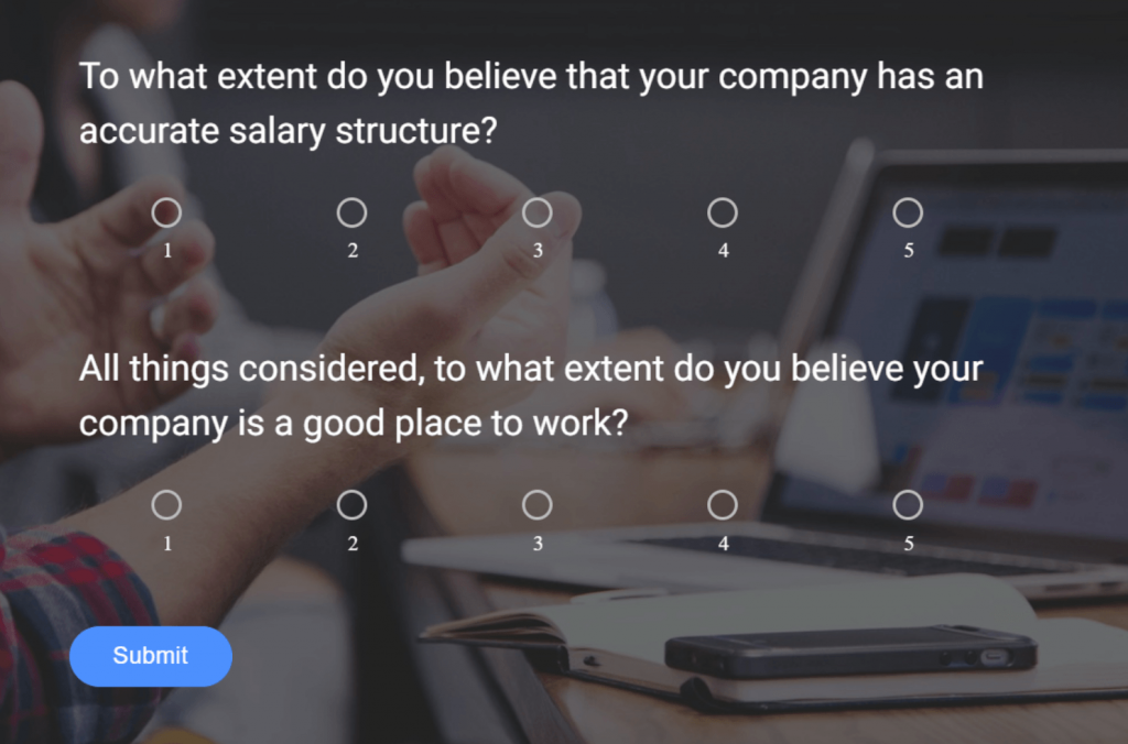 Equity Survey Questions