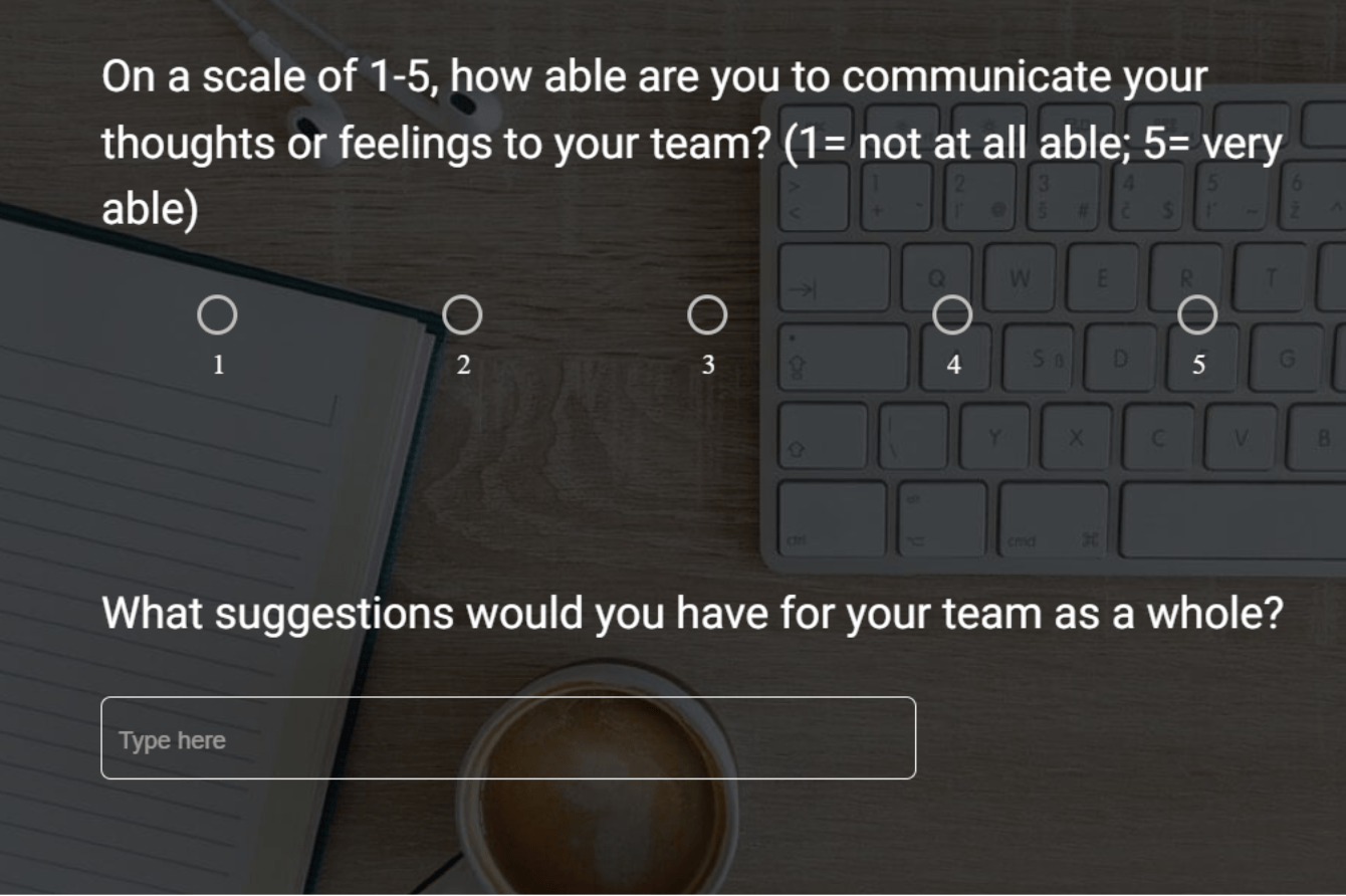 culture and belonging survey template