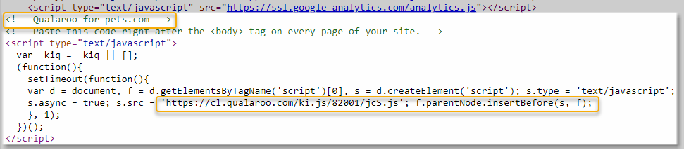 View page source <body> tag