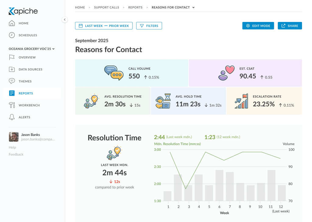 Kapiche text analytics tool