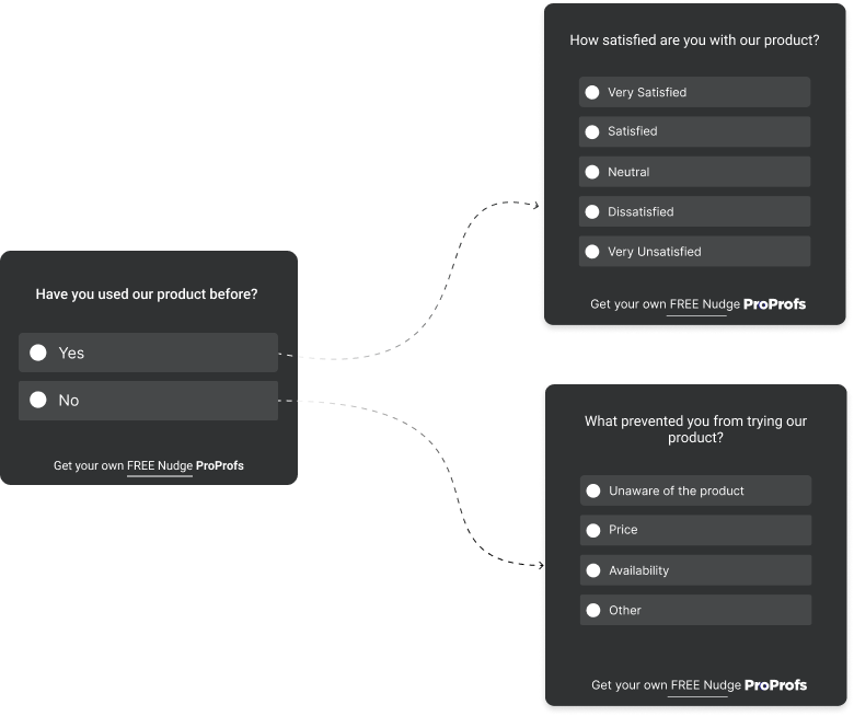 Examples of Survey Branching Questions