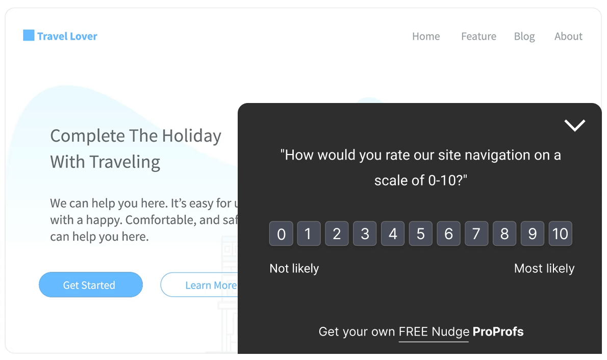 Website Feedback Surveys